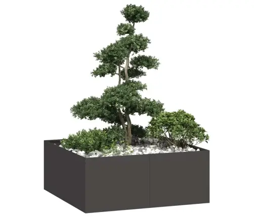 Puķu Kaste, Melna, 100X100X40 Cm, Tērauds Vidaxl