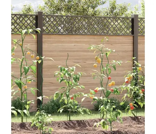 Spirālveida Augu Atbalsts 50 Gab 110 Cm Tērauds Vidaxl