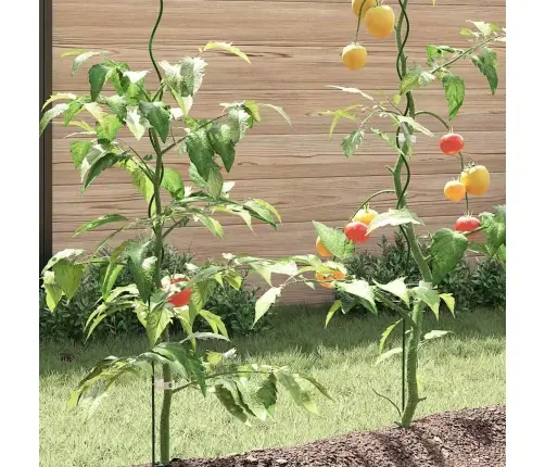 Spirālveida Augu Atbalsti (20 Gab., 150 Cm, Tērauds) Vidaxl