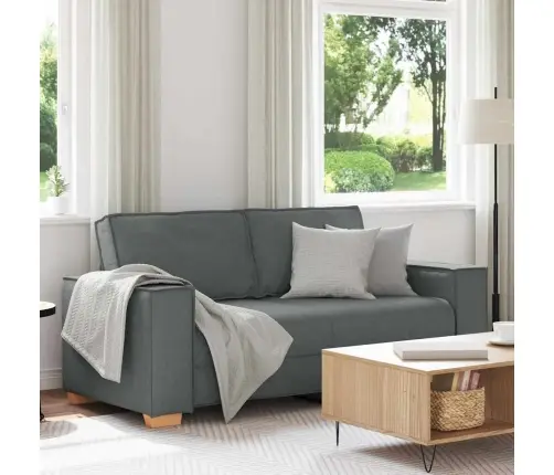 Dvivietė Sofa, Tamsiai Pilka, 140 cm Audinys