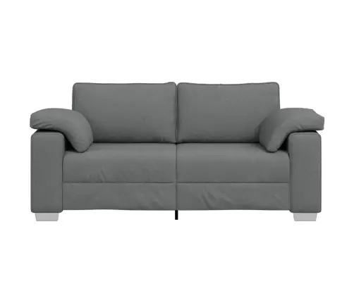 Divvietīgs Dīvāns Tumši Pelēkā Krāsā, 140 Cm, Audums Vidaxl