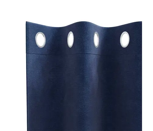 Kardinaid Kardinatega 2 Pcs Tumesinine 140 X 245 Cm Samet