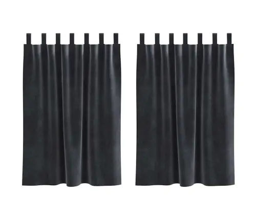 Užtemdymo Užuolaidos 2 Pcs Tamsiai Pilka 140 X 140 Cm Aksomas