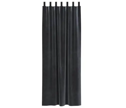 Necaurspīdīgie Aizkari Ar Karājošām Cilpām 2 Gabali Tumši Pelēka Samta Vidaxl