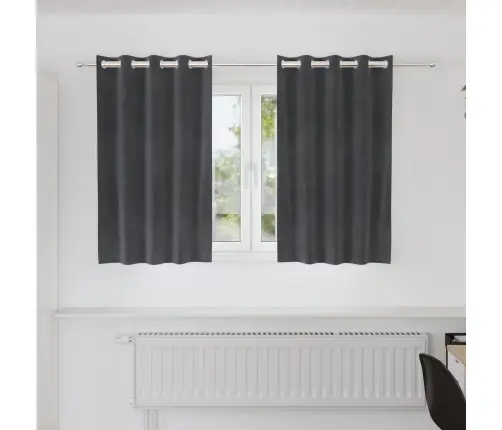 Melnie Aizkari Ar Acs Caurumiem 2 Gabali Gaiši Pelēks Samts Vidaxl