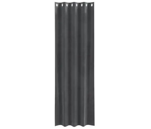 Melnie Aizkari Ar Acīm 2 Gabali Gaiši Pelēks Samts Vidaxl