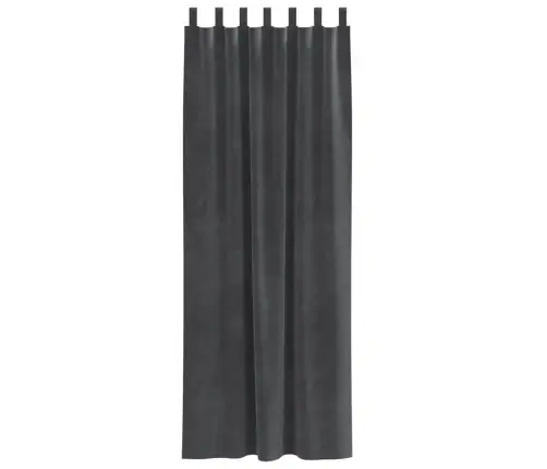 Melnaizturas Aizkari Ar Karāšanas Cilpām 2 Gabali Gaiši Pelēks Samts Vidaxl