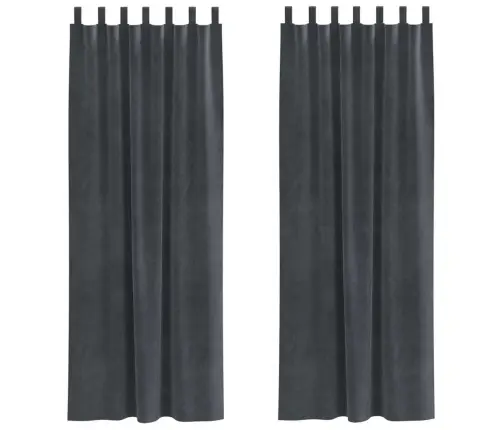 Melnaizturas Aizkari Ar Karāšanas Cilpām 2 Gabali Gaiši Pelēks Samts Vidaxl