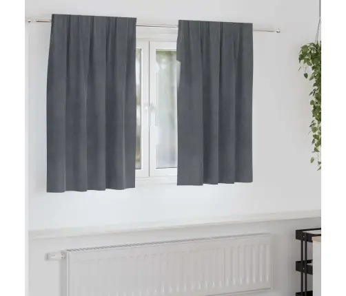 Aptumšojošie Aizkari 2 Pcs Gaiši Pelēks 140 X 140 Cm Samts Vidaxl