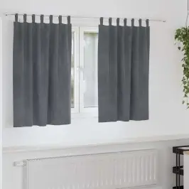 Aizkari Ar Aizkariem 2 Pcs Gaiši Pelēka 140 X 140 Cm Samts Vidaxl