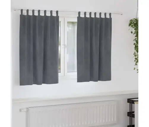 Aizkari Ar Karājošām Cilpām 2 Gab. Super Gaiši Pelēks Aksess Vidaxl Aizkari Ar Karājošām Cilpām 2 Gab. Super Gaiši Pelēks Aksess Vidaxl