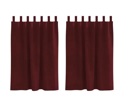 Tumšās Aizkaru Drānas Ar Cilpām 2 Gabali Bordo Samts Vidaxl