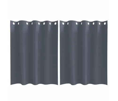 Aizkari Ar Aizkariem 2 Pcs Antracīta 140 X 140 Cm Poliesters Vidaxl Aizkari Ar Aizkariem 2 Pcs Antracīta 140 X 140 Cm Poliesters Vidaxl