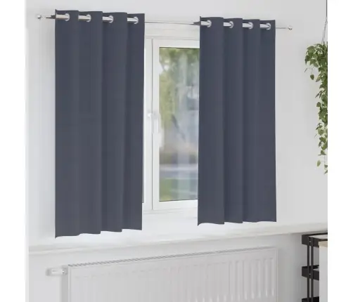 Kardinad Rõngastega Antratsiit Polüester Kardinad Rõngastega Antratsiit Polüester