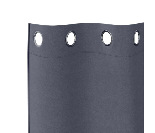 Aizkari Ar Aizkariem 2 Pcs Antracīta 245 X 140 Cm Poliesters Vidaxl