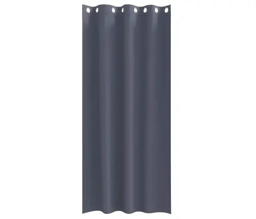 Kardinad Rõngastega Antratsiit Polüester