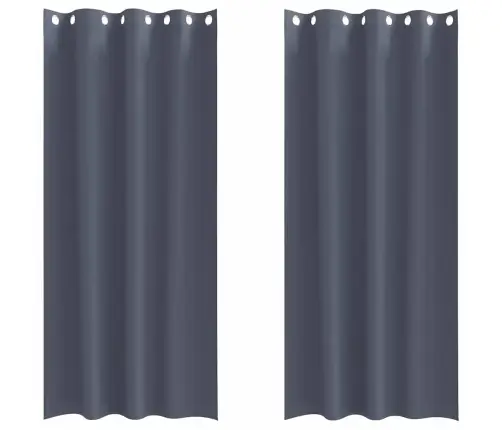 Kardinad Rõngastega Antratsiit Polüester