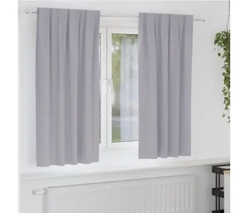 Aizkari Ar Aizkariem 2 Pcs Metāla Pelēks Poliesters Vidaxl