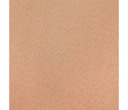 Aizkari Ar Aizkariem 2 Pcs Gaiši Brūna 140 X 140 Cm Poliesters Vidaxl