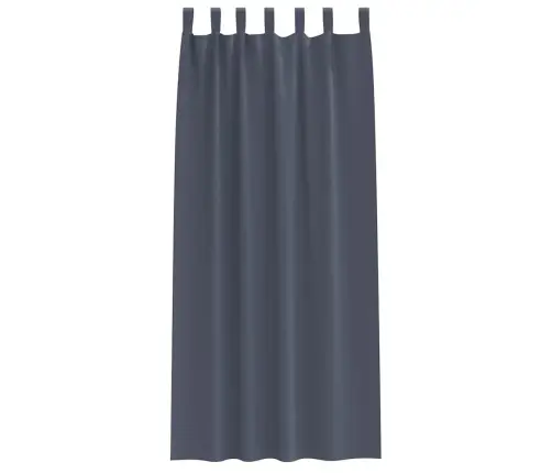 Kardinad Rõngastega Antratsiit Polüester Kardinad Rõngastega Antratsiit Polüester