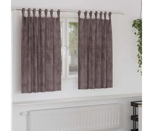 Satiinist Kardinad Kardinatega 2 Pcs Pruun 140 X 140 Cm Samet