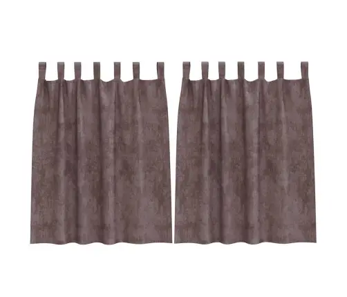 Satiinist Kardinad Kardinatega 2 Pcs Pruun 140 X 140 Cm Samet