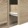Tv Skapītis Sonoma Ozola 100X31X25,5 Cm Inženierijas Koks Vidaxl