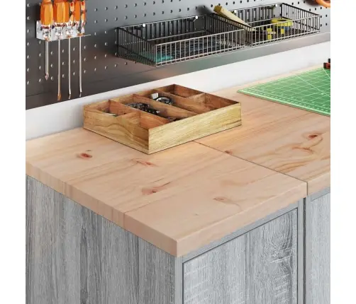 Garaažikapid 2 Tk, Hall Sonoma Tamm, Tehispuit