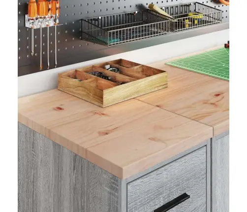 Garaažikapid 2 Tk, Hall Sonoma Tamm, Tehispuit