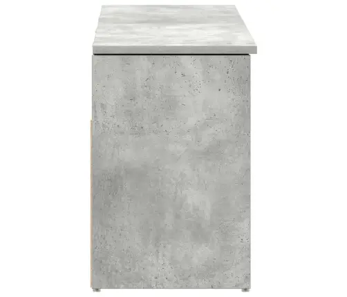 Jalatsipink, Betoonhall, 102X30,5X45 cm Tehispuit