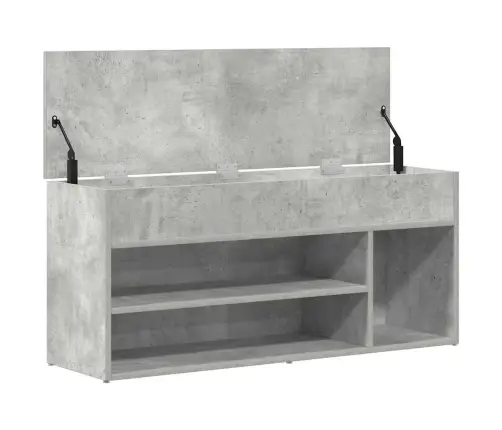 Jalatsipink, Betoonhall, 102X30,5X45 cm Tehispuit