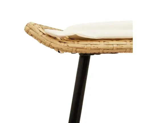 4 Gabalu Dārza Dīvānu Komplekts Ar Spilveniem, Dabīgais Poliratanas Vidaxl