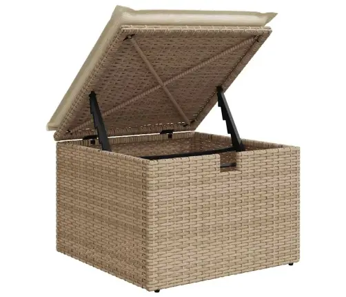6-Osaline Aiadiivani Komplekt Patjadega, Beež, Polürotang