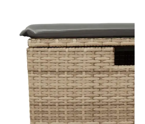 5-Daļīgs Dārza Dīvāna Komplekts, Matrači, Bēša Pe Rotangpalma Vidaxl