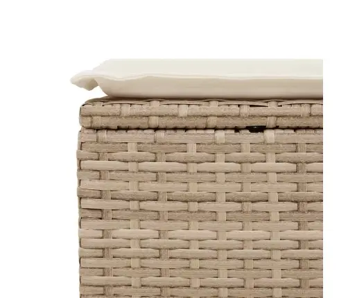 6-Osaline Aiadiivani Komplekt Patjadega, Beež, Polürotang