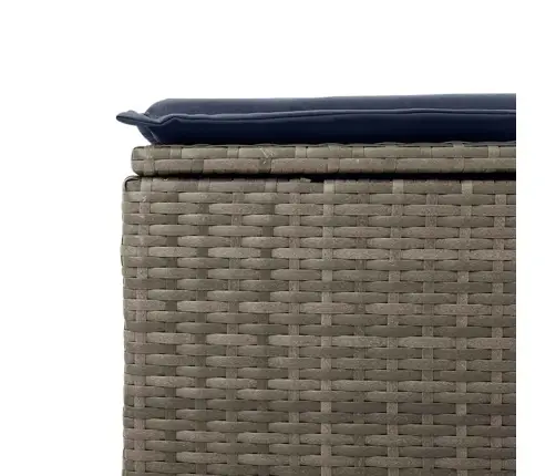 Sofos Komplektas Su Pagalvėlėmis, 9 Dalių, Pilkas, Poliratanas