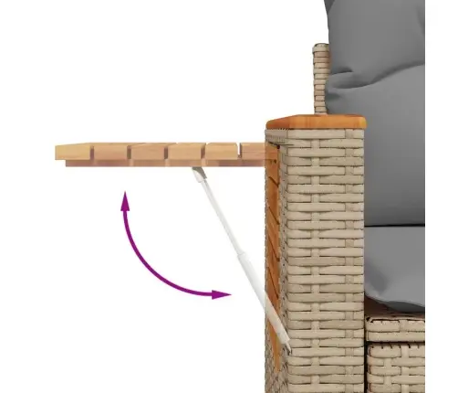 9-Osaline Aiadiivani Komplekt Patjadega, Beež, Rotang/Akaatsia