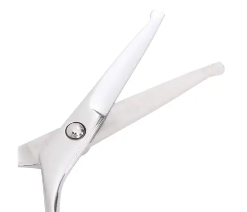 6 Gabalu Suņu Kopšanas Šķēru Komplekts No Nerūsējošā Tērauda Vidaxl