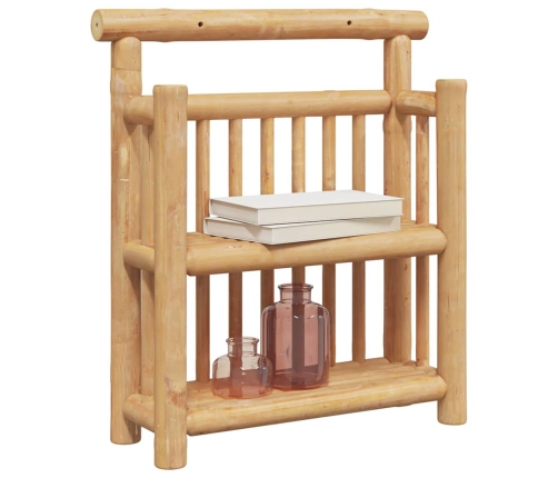 Seinariiul Riiuliga Ladustamisega Pruun 40 X 13 X 44 Cm Bambus