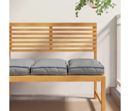 Pelēkie Paliktņu Spilveni, 2 Gab., 40 X 40 X 8 Cm, Neilona Audums Vidaxl