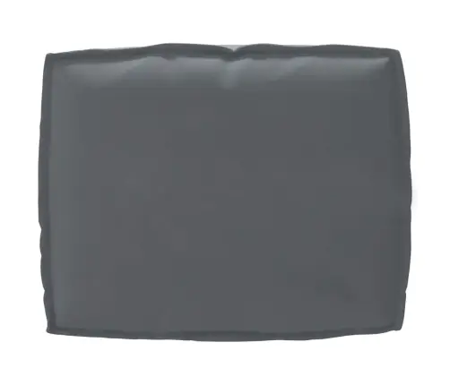 2 Gab. Pallet Spilvenu Komplekts Antracīts Oxford Audums Vidaxl