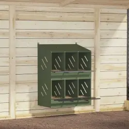 Vištienos Lizdų Dėžutė Su 6 Skyriais Alyvuogių Žalios Spalvos