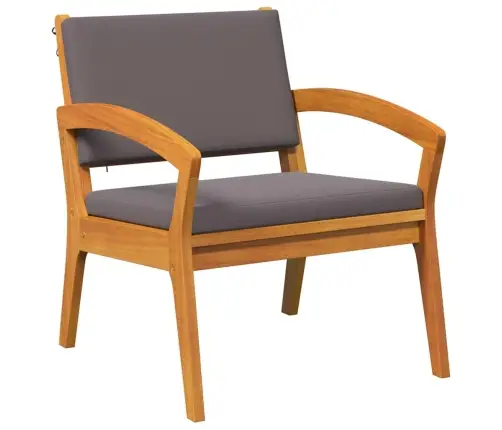 Sodo Kėdė 2 Pcs Natūralus Aliejus Kietos Akacijos Mediena