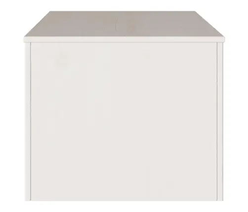 Kohvilaud Sahtliga Drammen Valge 99 X 55 X 45 Cm Männipuit