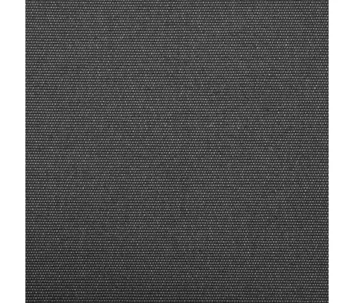 Izvelkams Jumtiņš Antracīts 300X250 Cm Poliesters Un Alumīnijs Vidaxl