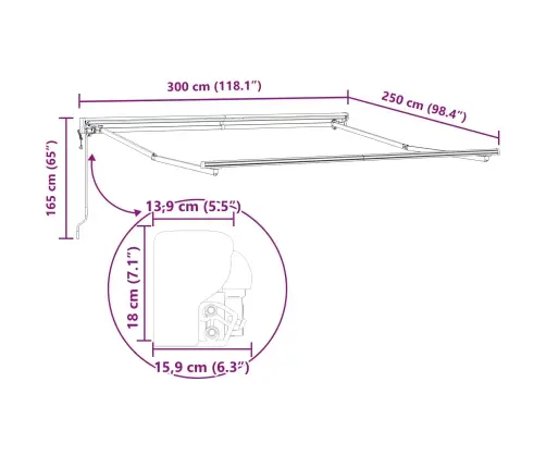 Izvelkams Jumtiņš Burgundijas Sarkanais 300X250 Cm Vidaxl