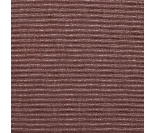 Izvelkams Jumtiņš Brūna 300X250 Cm Vidaxl