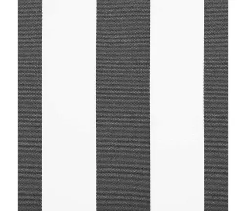 Izvelkams Jumtiņš Antracīts Un Balts 300X250 Cm Vidaxl