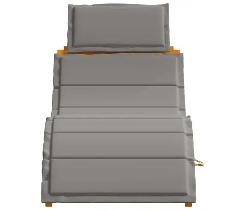 Sauļošanās Krēsli Ar Spilveniem 2 Gab. Tumši Pelēki, Cieta Akācijas Koka Vidaxl