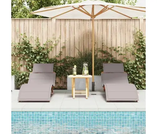 Saulės Gultas Su Pagalve 2-Asmuo 2 Pcs Taupe 184 X 55 X 64Cm